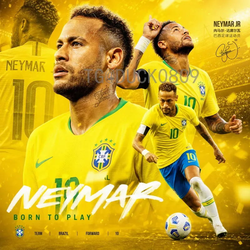 FIFA世界杯分析资源站：专业数据与深度解读助力球迷和投注者